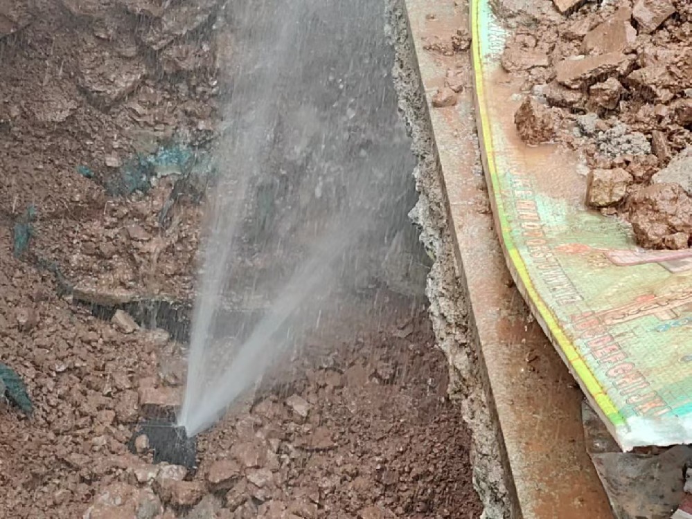 消防水管漏水检测定点开挖哪家好-万秀